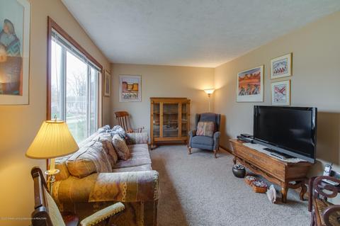 936 Warner Ave, Mason, MI 48854 photo 7