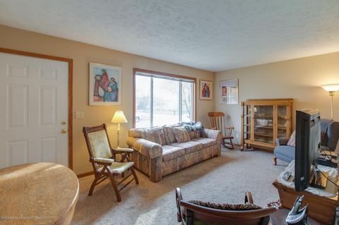 936 Warner Ave, Mason, MI 48854 photo 6