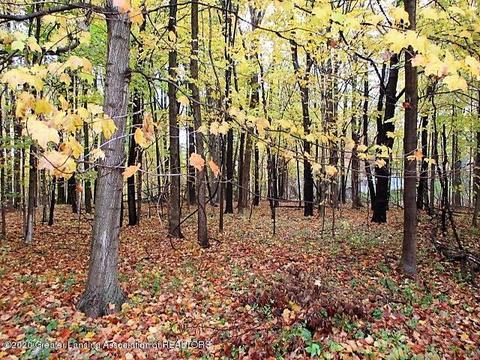4892 Marsh Dr, Dimondale, MI 48821 photo 24