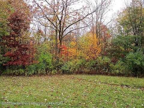 4892 Marsh Dr, Dimondale, MI 48821 photo 23