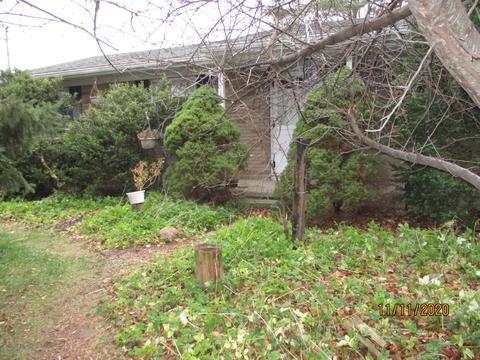 9140 S Grove Rd, Dewitt, MI 48820 photo 1