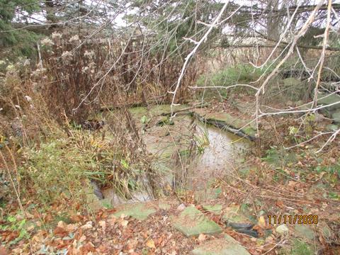 9140 S Grove Rd, Dewitt, MI 48820 photo 23