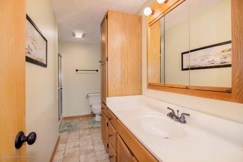 12733 Isle Royale Dr, Dewitt, MI 48820 photo 23