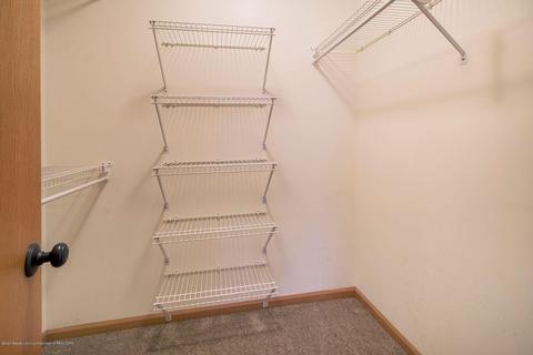 12733 Isle Royale Dr, Dewitt, MI 48820 photo 18