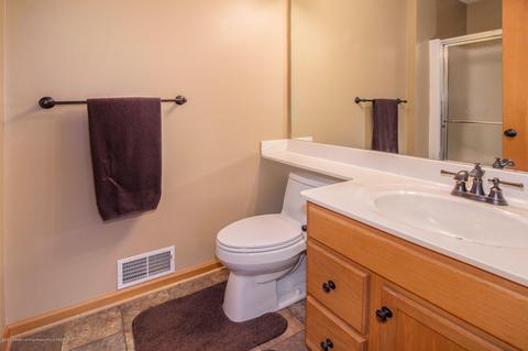 12733 Isle Royale Dr, Dewitt, MI 48820 photo 17