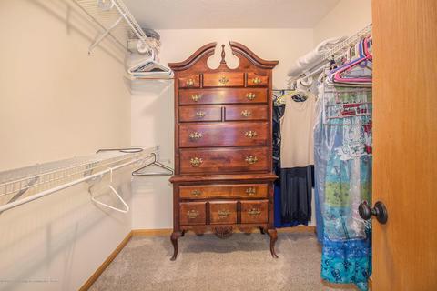 12733 Isle Royale Dr, Dewitt, MI 48820 photo 24