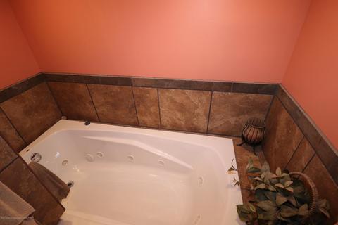 8980 E Maple Rapids Rd, Elsie, MI 48831 photo 20