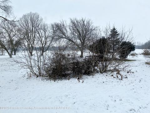 965 E Remus Rd, Mount Pleasant, MI 48858 photo 21