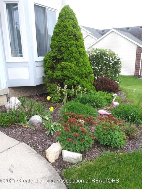 11877 Schavey Rd, Dewitt, MI 48820 photo 5