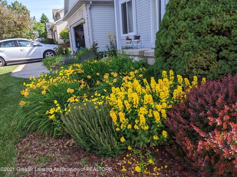 11877 Schavey Rd, Dewitt, MI 48820 photo 50