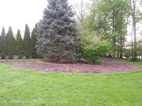 11877 Schavey Rd, Dewitt, MI 48820 photo 35