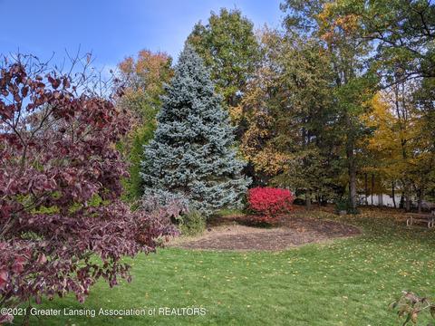 11877 Schavey Rd, Dewitt, MI 48820 photo 45