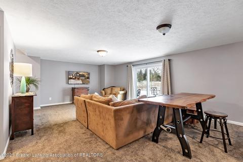 11735 Claridge Dr, Dewitt, MI 48820 photo 47