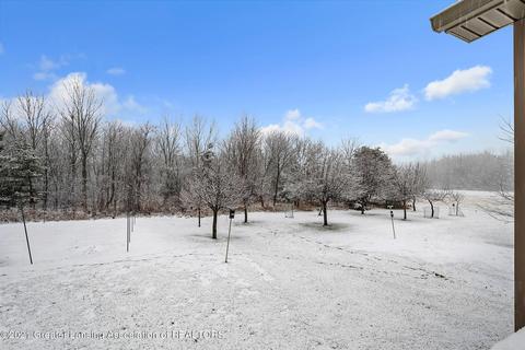12217 Airport Rd, Dewitt, MI 48820 photo 42