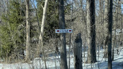 13158 Wood Rd, Bath, MI 48808 photo 22