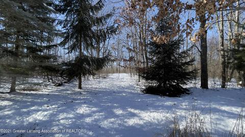 13158 Wood Rd, Bath, MI 48808 photo 21
