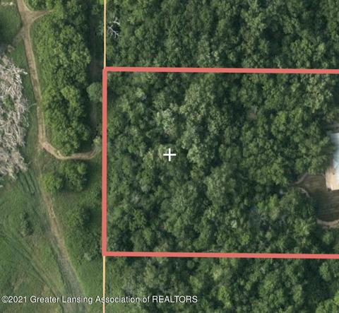 13158 Wood Rd, Bath, MI 48808 photo 126