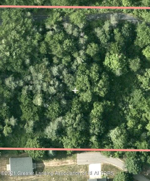 13158 Wood Rd, Bath, MI 48808 photo 113