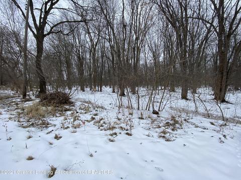 6005 Park Lake Rd, Bath, MI 48808 photo 9