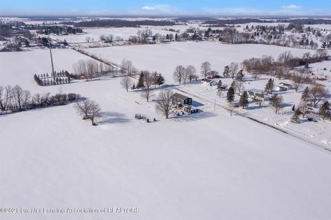 266 E St Charles Rd, Ithaca, MI 48847 photo 41