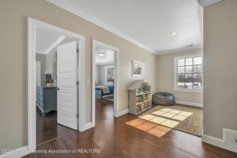266 E St Charles Rd, Ithaca, MI 48847 photo 22