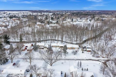 1306 Sandhill Dr, Dewitt, MI 48820 photo 50