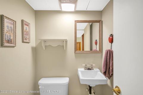 1306 Sandhill Dr, Dewitt, MI 48820 photo 39