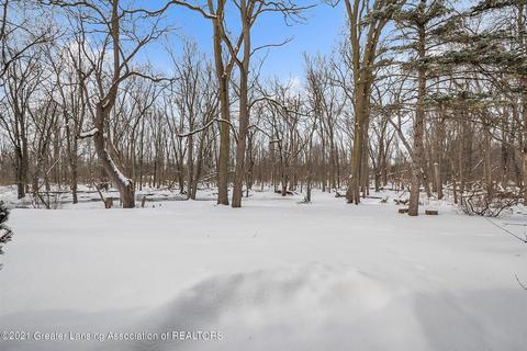 1306 Sandhill Dr, Dewitt, MI 48820 photo 46