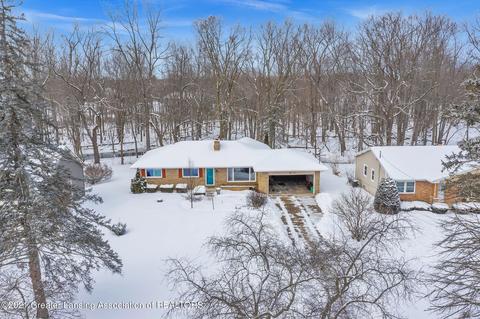 1306 Sandhill Dr, Dewitt, MI 48820 photo 47