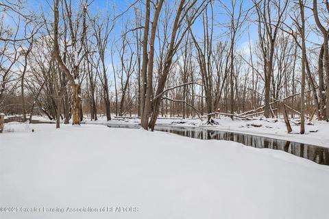 1306 Sandhill Dr, Dewitt, MI 48820 photo 45