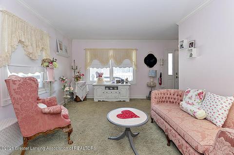 6559 Williams Rd, Dimondale, MI 48821 photo 15