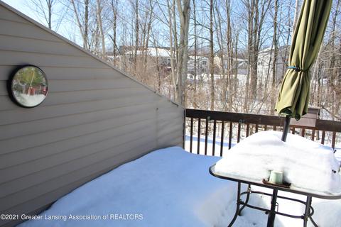 2575 Limerick Cir, Holt, MI 48842 photo 41