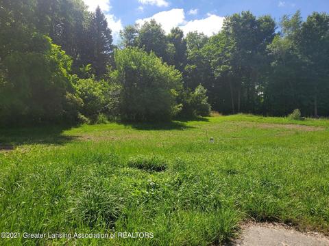 3738 Britton Rd, Perry, MI 48872 photo 24