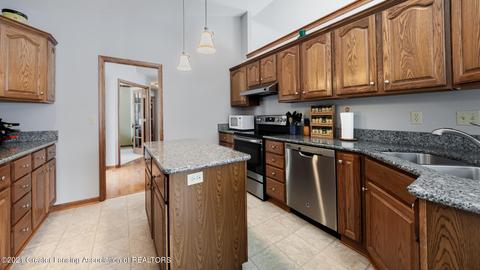 3391 Hollow Spring Dr, Dewitt, MI 48820 photo 6