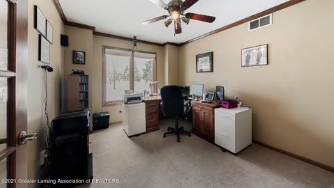 3391 Hollow Spring Dr, Dewitt, MI 48820 photo 10