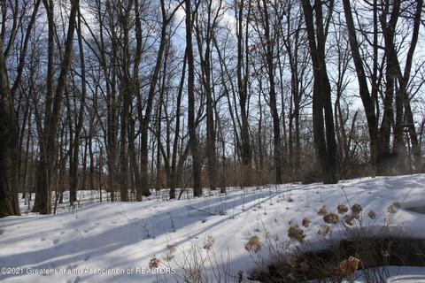 92 E Newman Rd, Williamston, MI 48895 photo 30