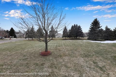 3301 Hollow Spring Dr, Dewitt, MI 48820 photo 42