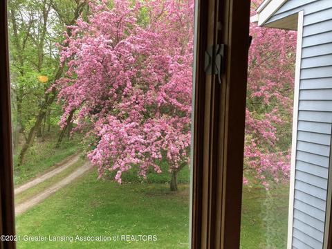 10162 W Herbison Rd, Eagle, MI 48822 photo 35