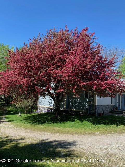 10162 W Herbison Rd, Eagle, MI 48822 photo 37
