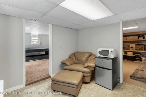 317 W Washington, Dewitt, MI 48820 photo 43