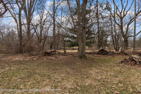 317 W Washington, Dewitt, MI 48820 photo 55