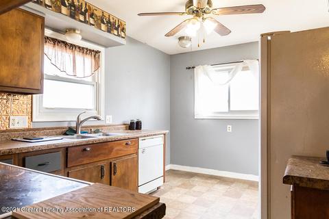 115 E Syringa Dr, Lansing, MI 48910 photo 15