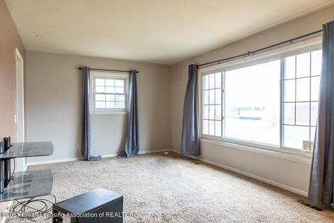 115 E Syringa Dr, Lansing, MI 48910 photo 10