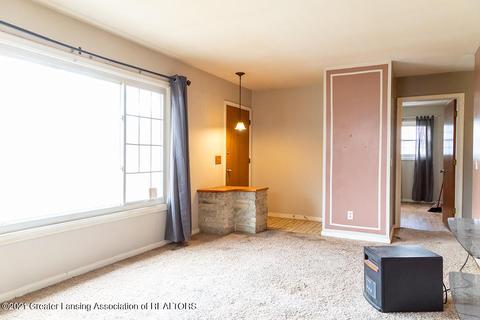 115 E Syringa Dr, Lansing, MI 48910 photo 7