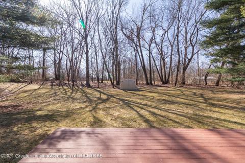 68 E Newman Rd, Williamston, MI 48895 photo 10