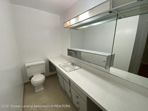 770 Fitting Ave, Lansing, MI 48917 photo 18