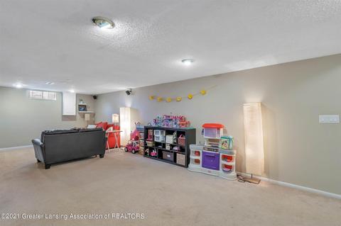 13146 Farm Ln, Dewitt, MI 48820 photo 34