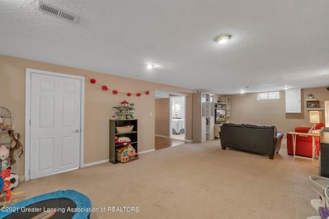 13146 Farm Ln, Dewitt, MI 48820 photo 33