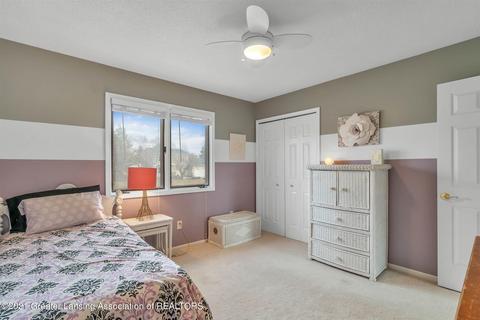 13146 Farm Ln, Dewitt, MI 48820 photo 26