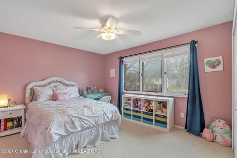 13146 Farm Ln, Dewitt, MI 48820 photo 23